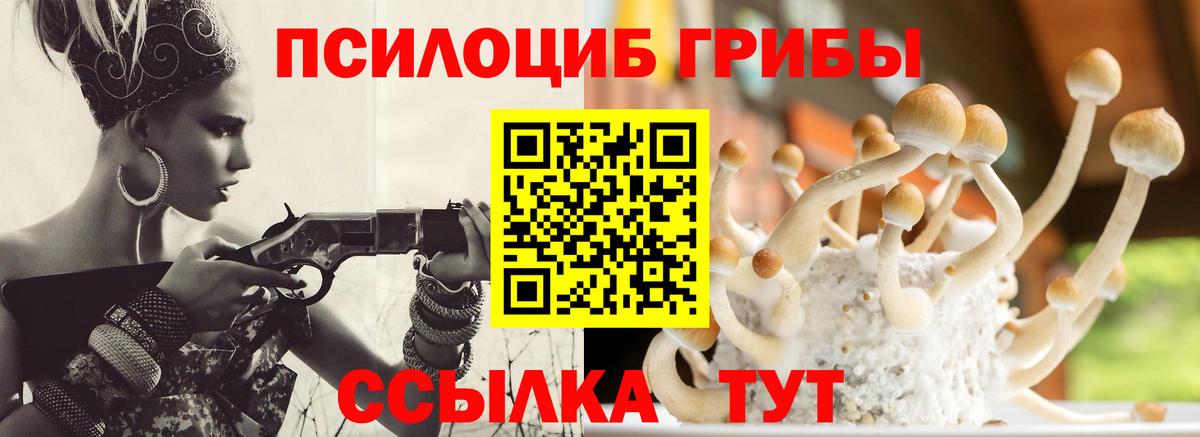 Всеволожск  Галлюциногенные грибы ЛСД  где купить наркоту  Вход с VPN  Псилоцибиновые грибы ЛСД 