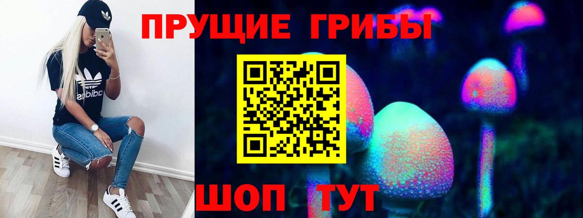 Псилоцибиновые грибы ЛСД Всеволожск